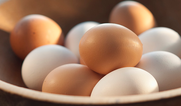 how much bcaa in eggs.png how much bcaa in eggs.png